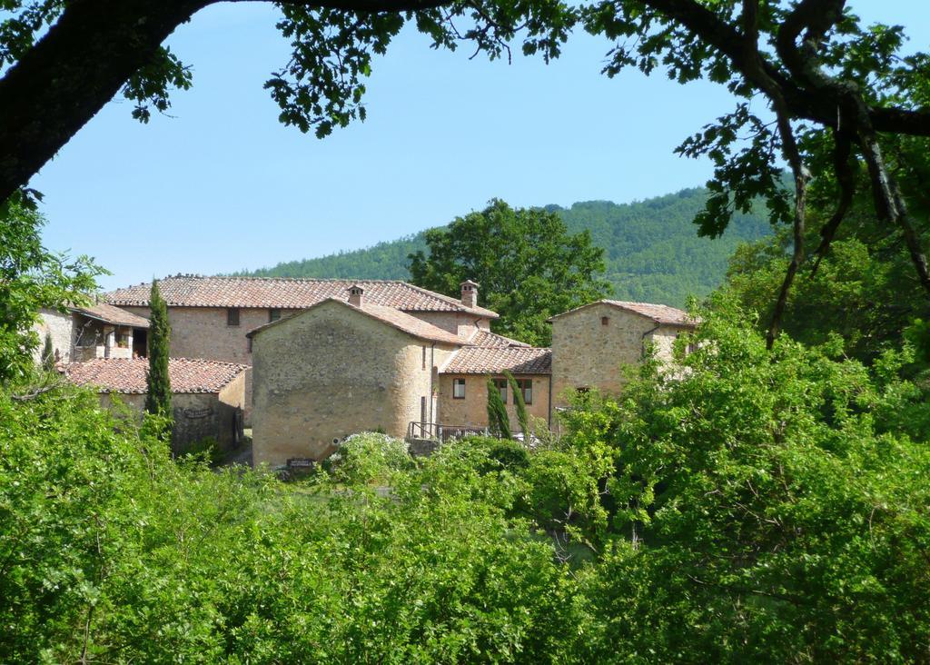 Agriturismo Colli Di Travale Montieri Cameră foto